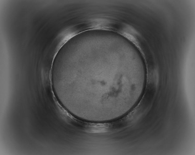 X0000087681338200705041021