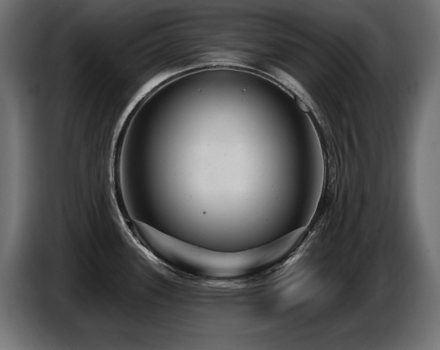 X0000087681339200705041021