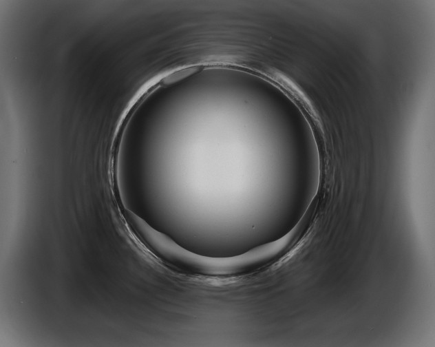 X0000087681340200705041021