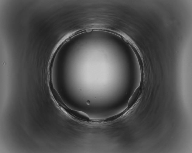 X0000087681341200705041021