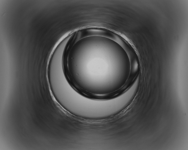 X0000087681342200705041021
