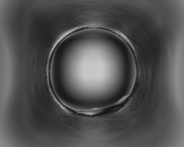 X0000087681343200705041021