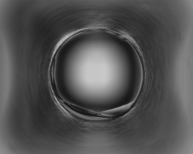 X0000087681344200705041021