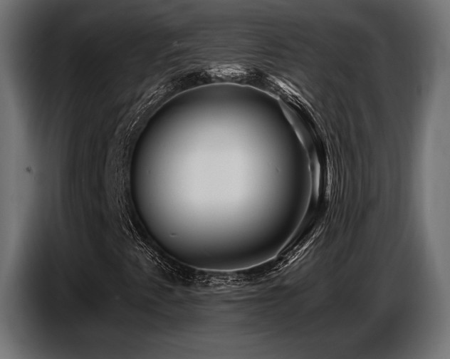 X0000087681345200705041021