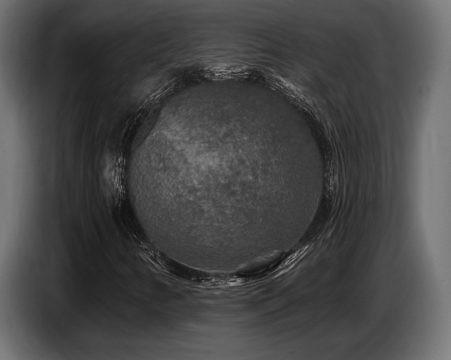 X0000087681346200705041021