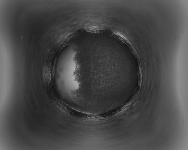 X0000087681348200705041021