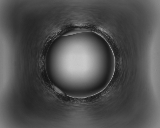 X0000087681349200705041021