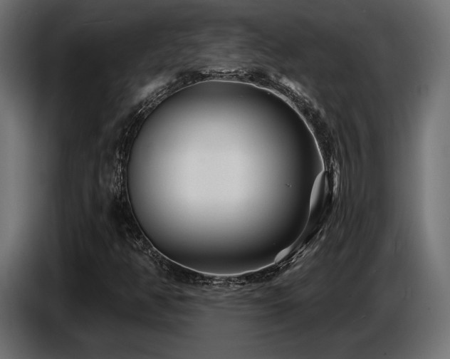X0000087681350200705041021