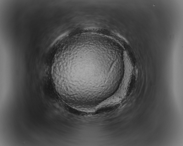 X0000087681351200705041021