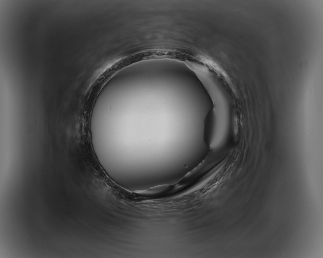 X0000087681352200705041021