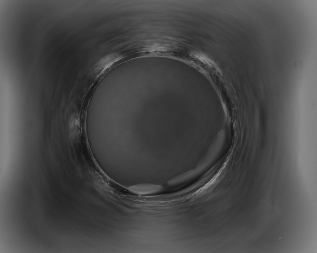 X0000087681353200705041021