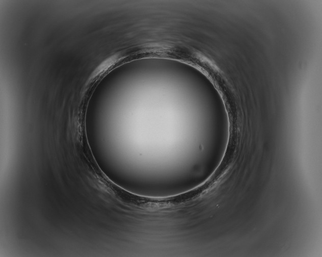 X0000087681354200705041021