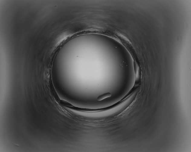 X0000087681355200705041021