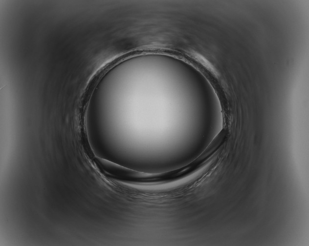 X0000087681356200705041021