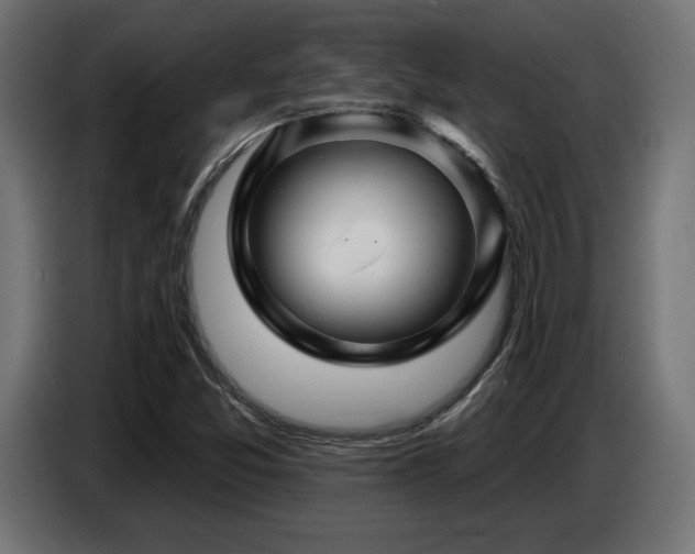 X0000087681357200705041021