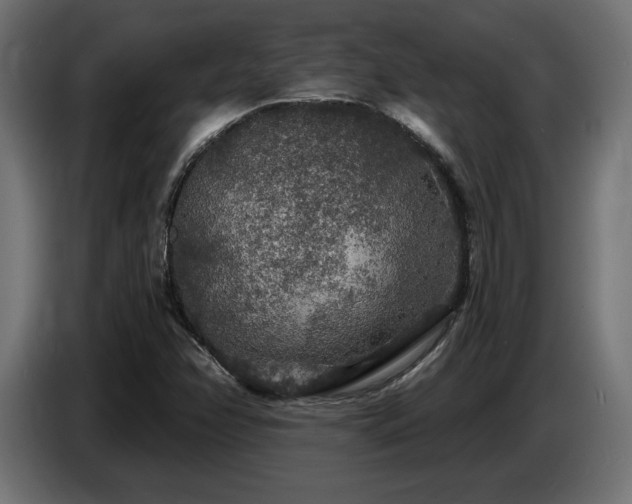 X0000087681358200705041021