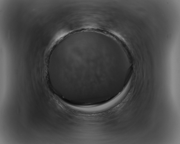 X0000087681359200705041021