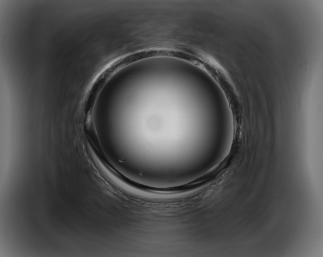 X0000087681360200705041021