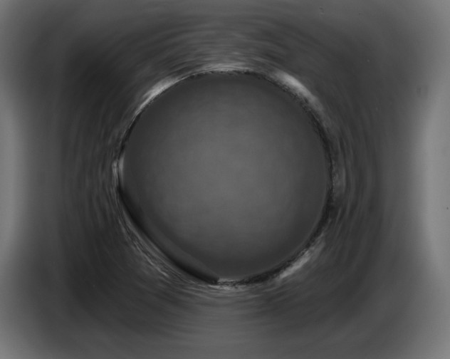 X0000087681361200705041021
