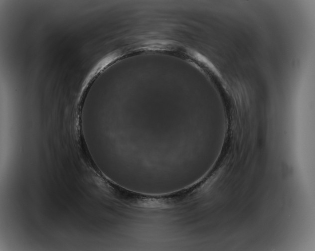 X0000087681362200705041021