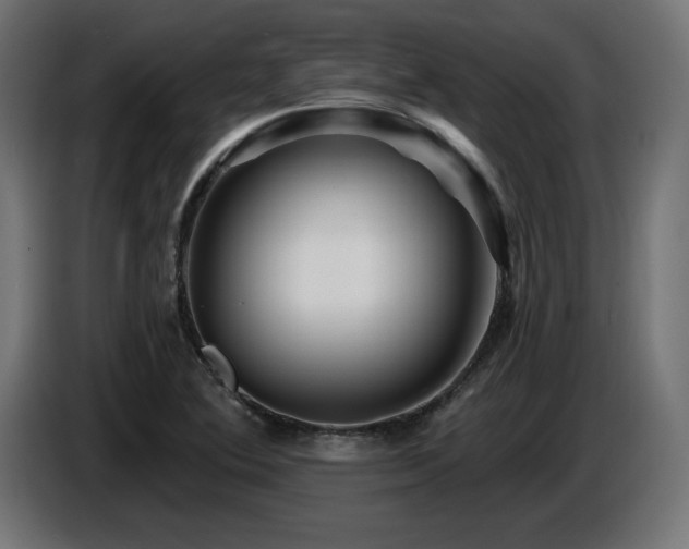 X0000087681364200705041021