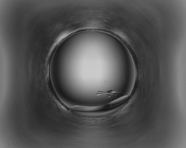 X0000087681366200705041021