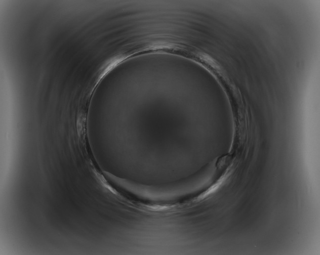 X0000087681369200705041021
