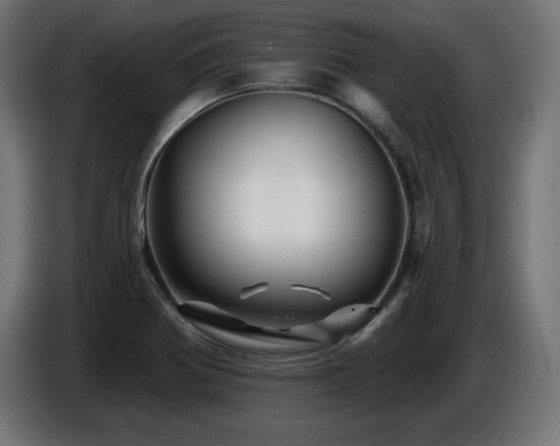X0000087681370200705041021