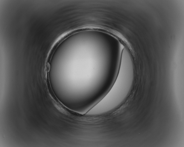 X0000087681372200705041021