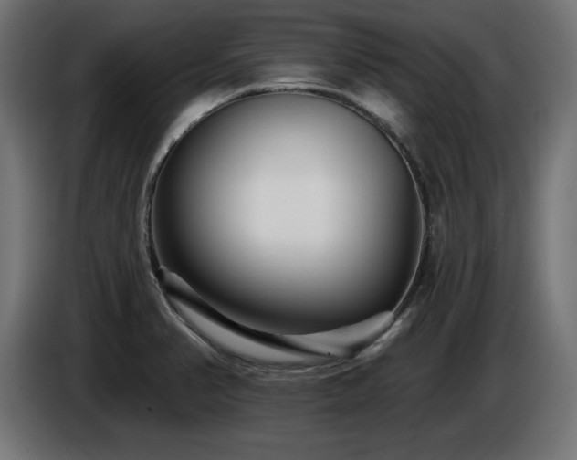 X0000087681374200705041021