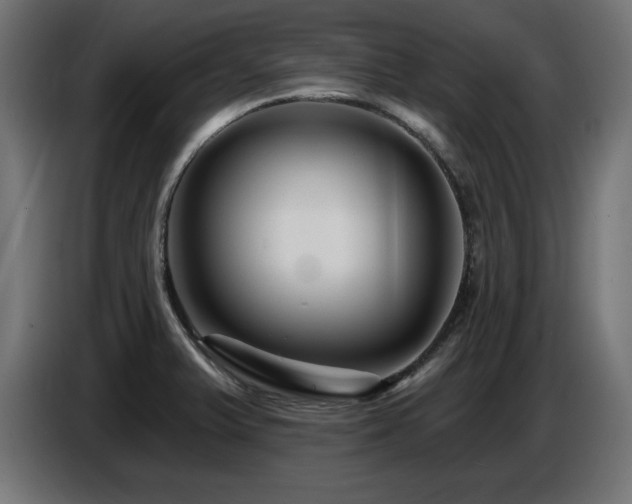 X0000087681375200705041021