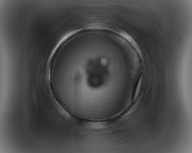 X0000087681376200705041021