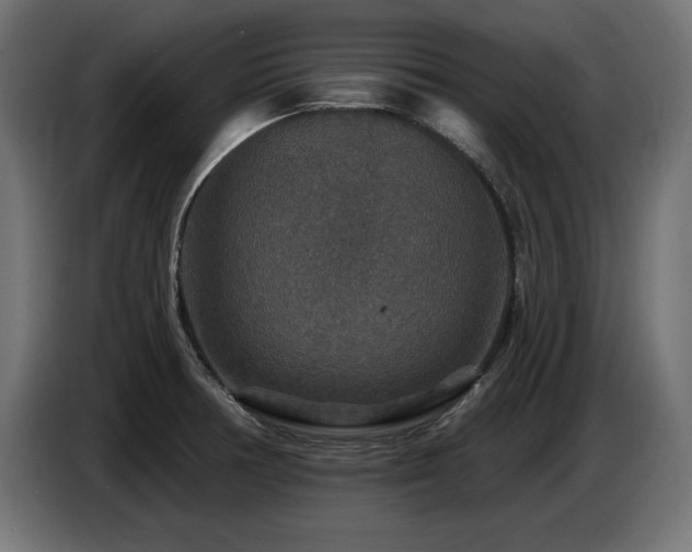 X0000087681378200705041021