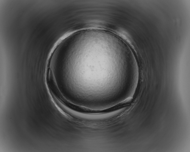 X0000087681379200705041021