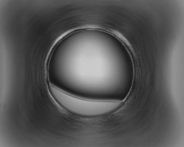 X0000087681380200705041021