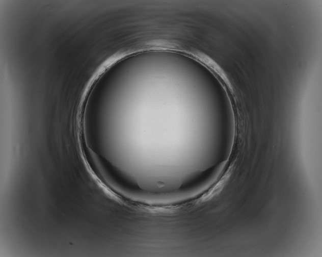 X0000087681381200705041021