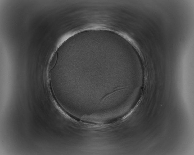 X0000087681382200705041021
