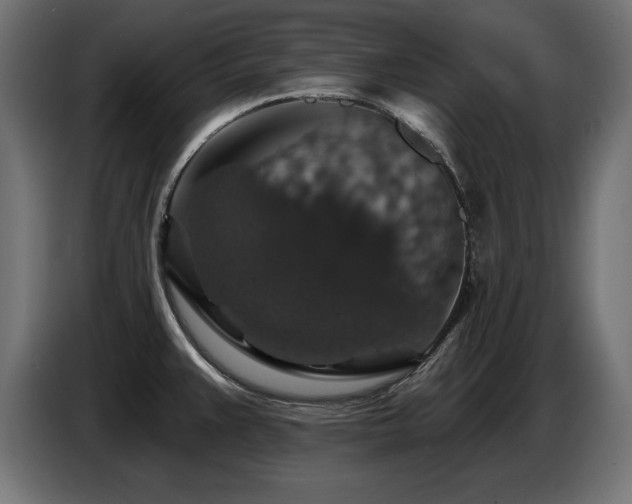 X0000087681383200705041020