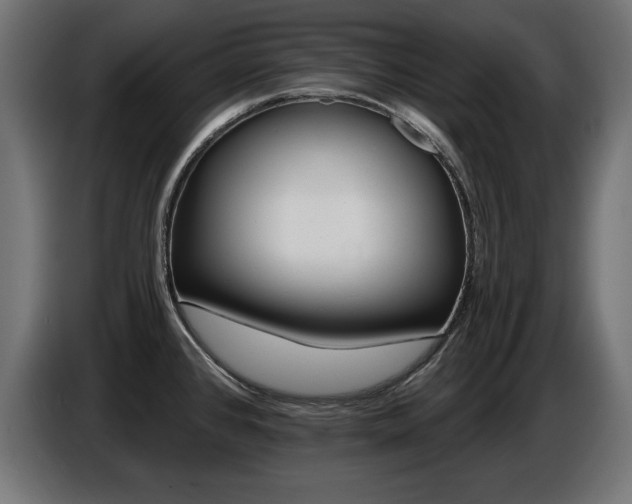 X0000087681384200705041020