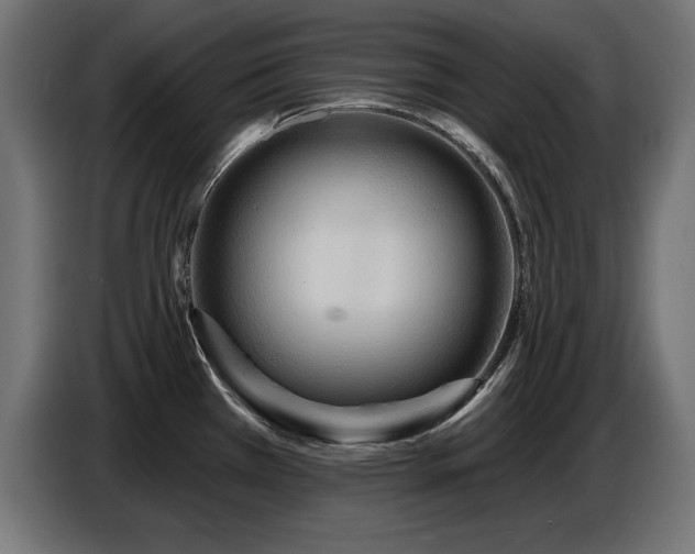 X0000087681385200705041020