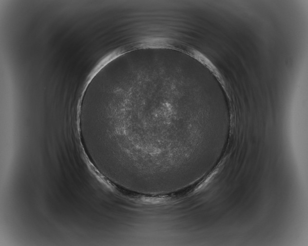 X0000087681386200705041020