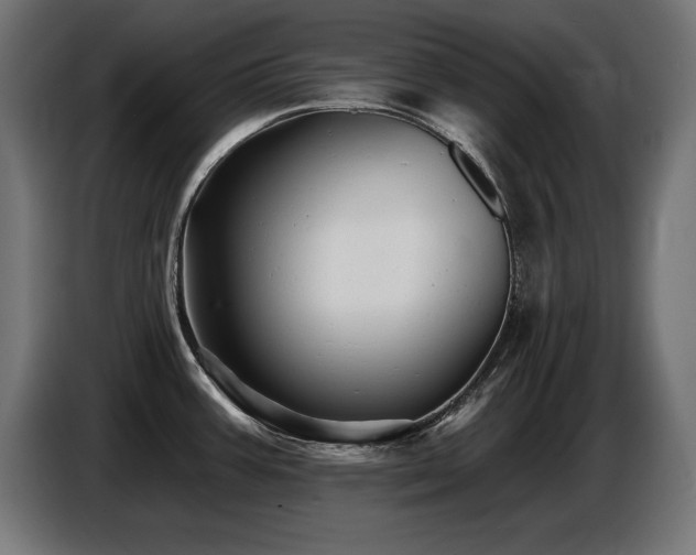 X0000087681387200705041020