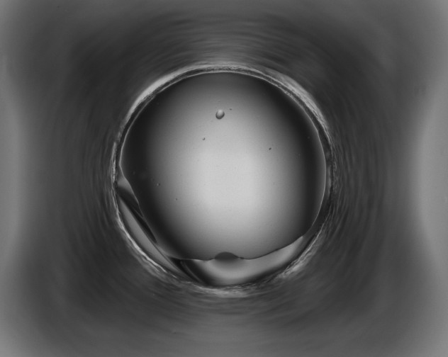 X0000087681388200705041020