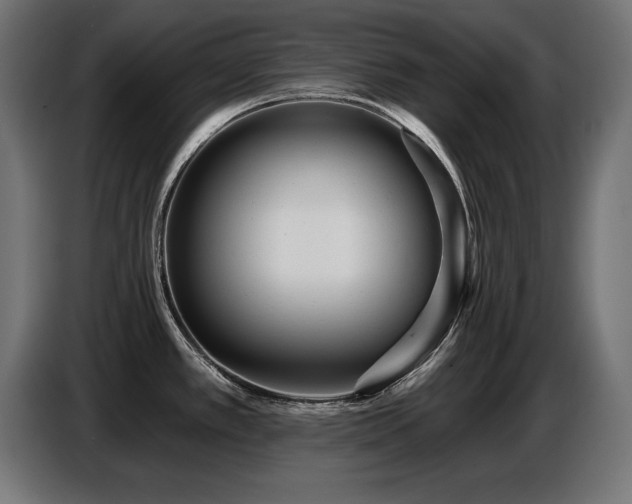 X0000087681389200705041020
