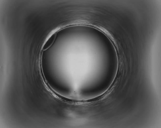 X0000087681390200705041020