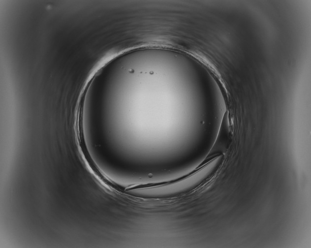 X0000087681391200705041020