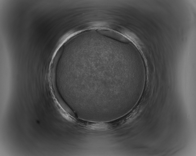 X0000087681392200705041020