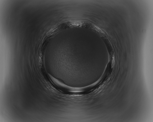 X0000087681394200705041020