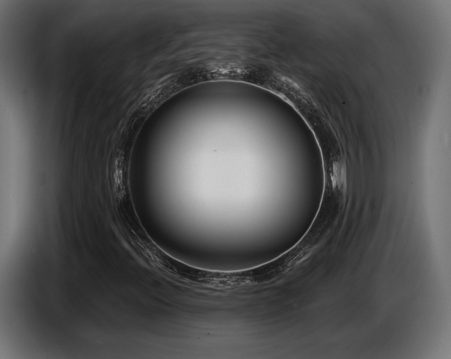 X0000087681396200705041020