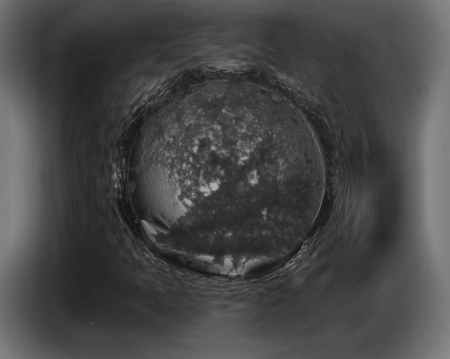 X0000087681397200705041020